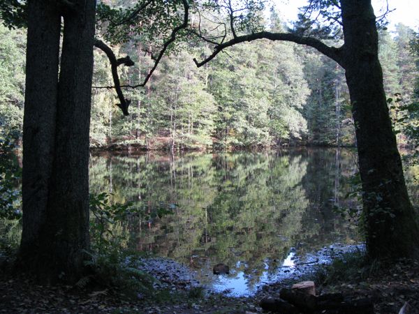 The Big Dam