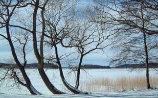 V&aring;rby at the seaside in winter