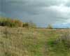 Autumn meadow