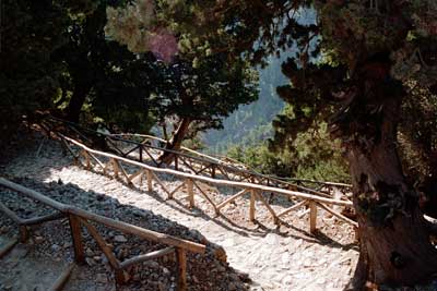 Samaria ravine, Crete
