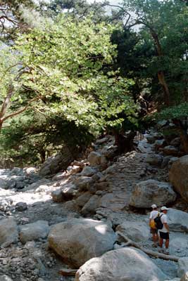 Samaria ravine, Crete