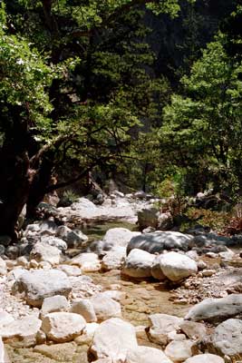Samaria ravine, Crete