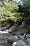 Crete, Samaria Gorge