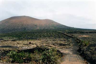 Lanzarote, the countryside, winedistrict
