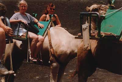 Lanzarote, at Timanfaya, the camelride