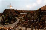 Jardin de Cactus, Lanzarote