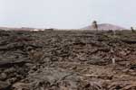 Tahice, Lanzarote