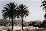 Haria, Lanzarote