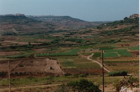 maltafields.jpg