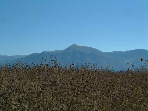 The Acheron River valley, Greece