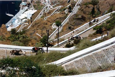 The donkey road in Santorini Town