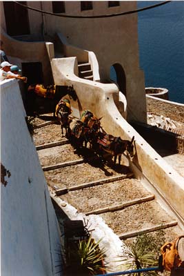 The topside entrance to the donkey-mule-road in Santorini town