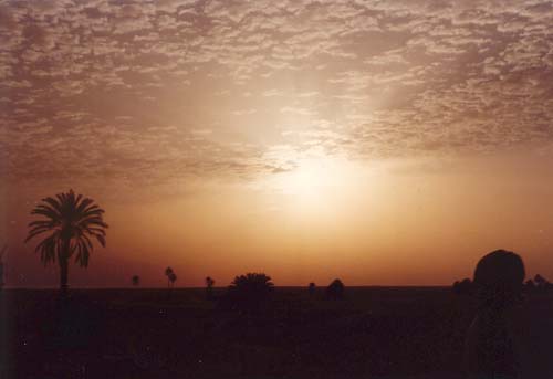 Sunrise in the Sahara desert