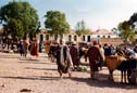 sousse market