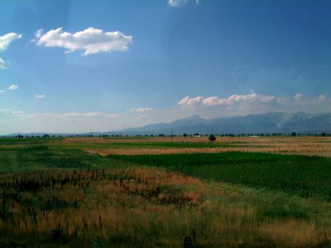 Turkish fields