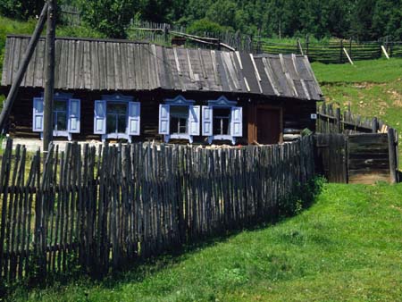 sovjet113_listviankabajkal