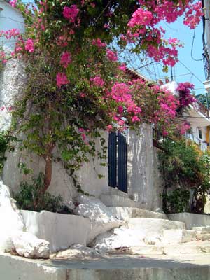 Street in Skiathos town